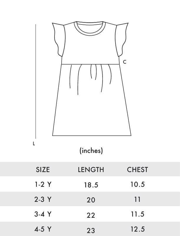 Fiesta Frill Sleeves Girl Dress